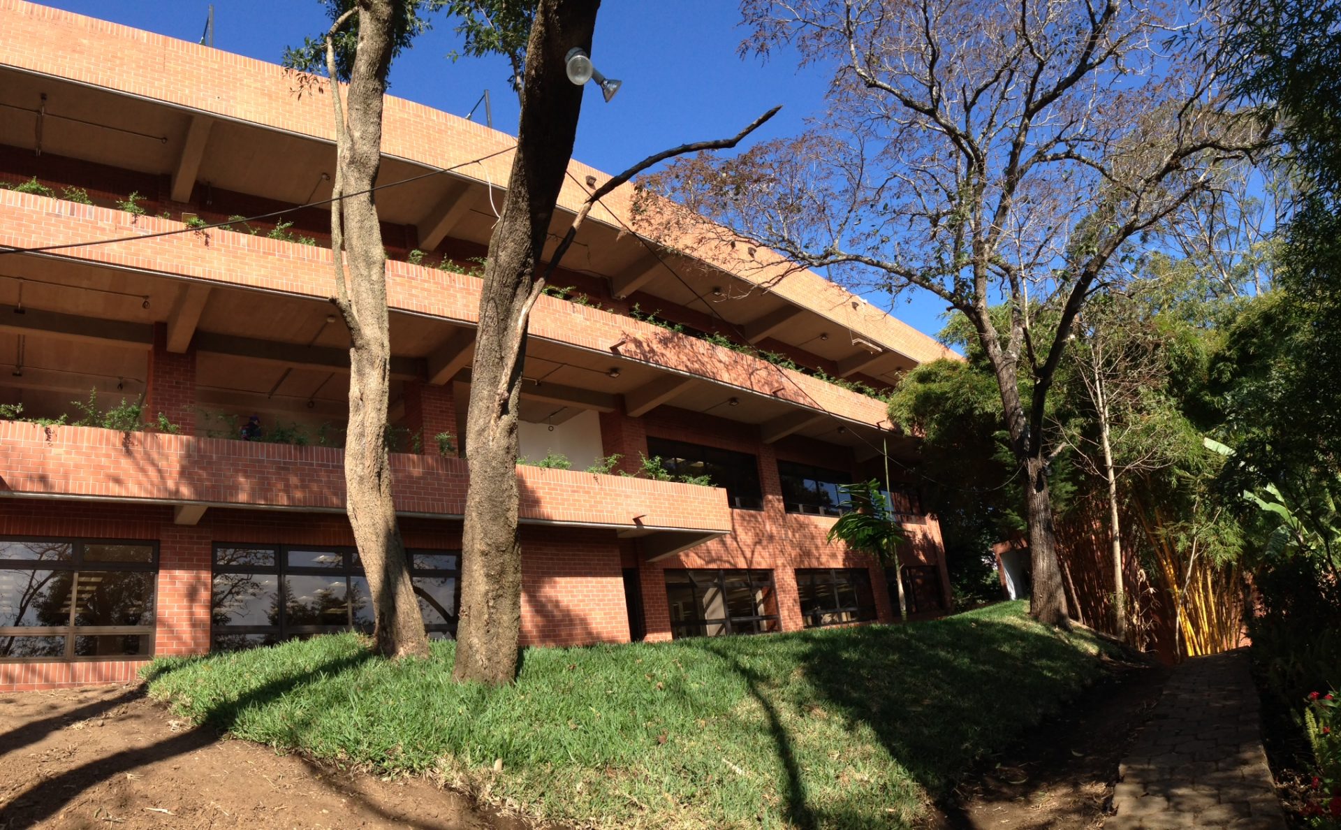 Universidad Francisco Marroquín UFM Facultad de Odontología Dentistas Nuevo Edificio